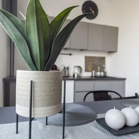 Center Apartment *